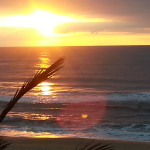 Look at a beautiful sunrise every morning